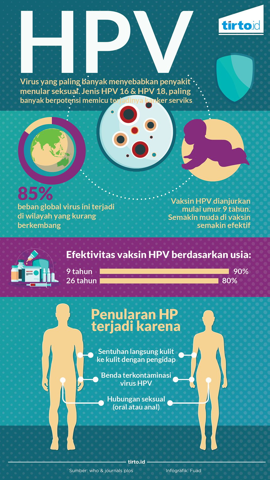 Infografik HPV