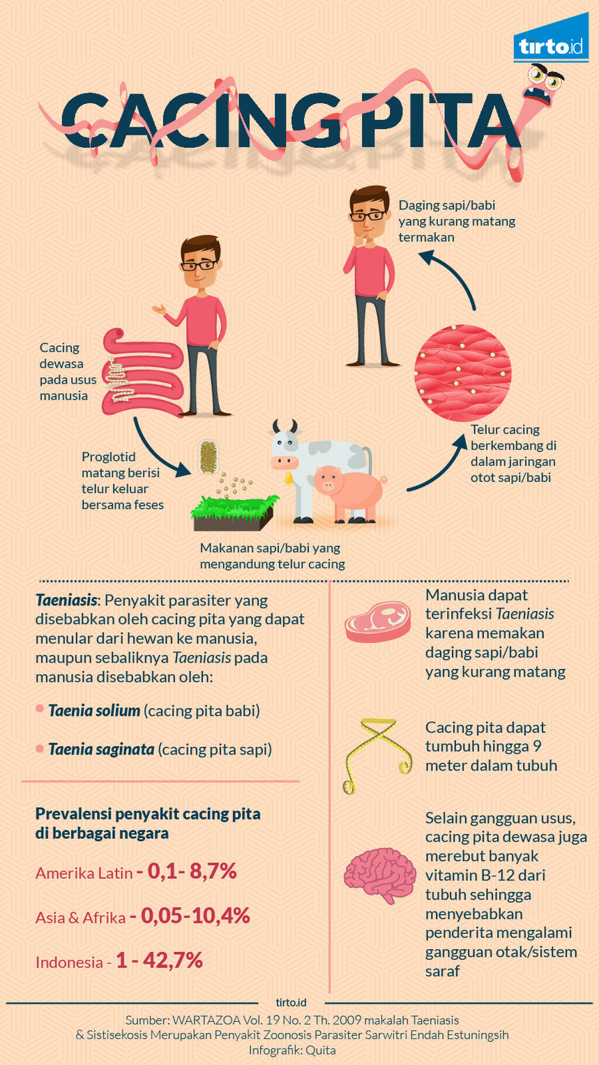 Suka Makan Daging Mentah Waspada Risiko Infeksi Cacing Pita TirtoID