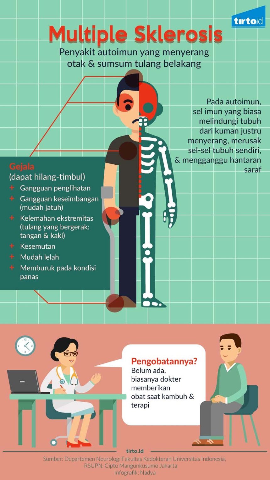 Infografik Multiple Sklerosis