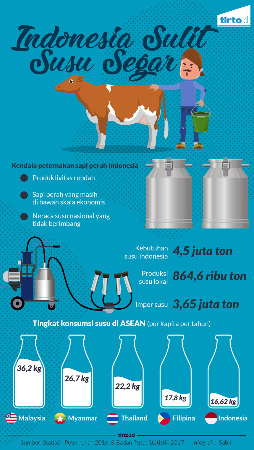 Infografik Indonesia sulit susu segar