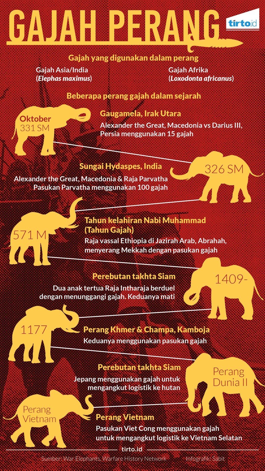 infografik gajah perang