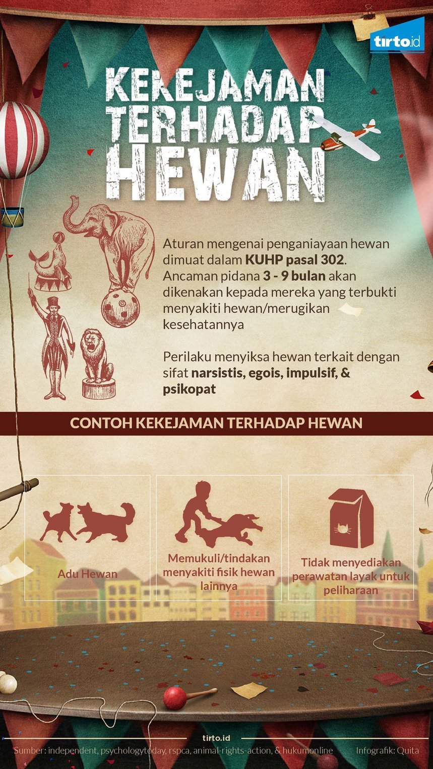 Infografik Kekejaman Terhadap Hewan Rev