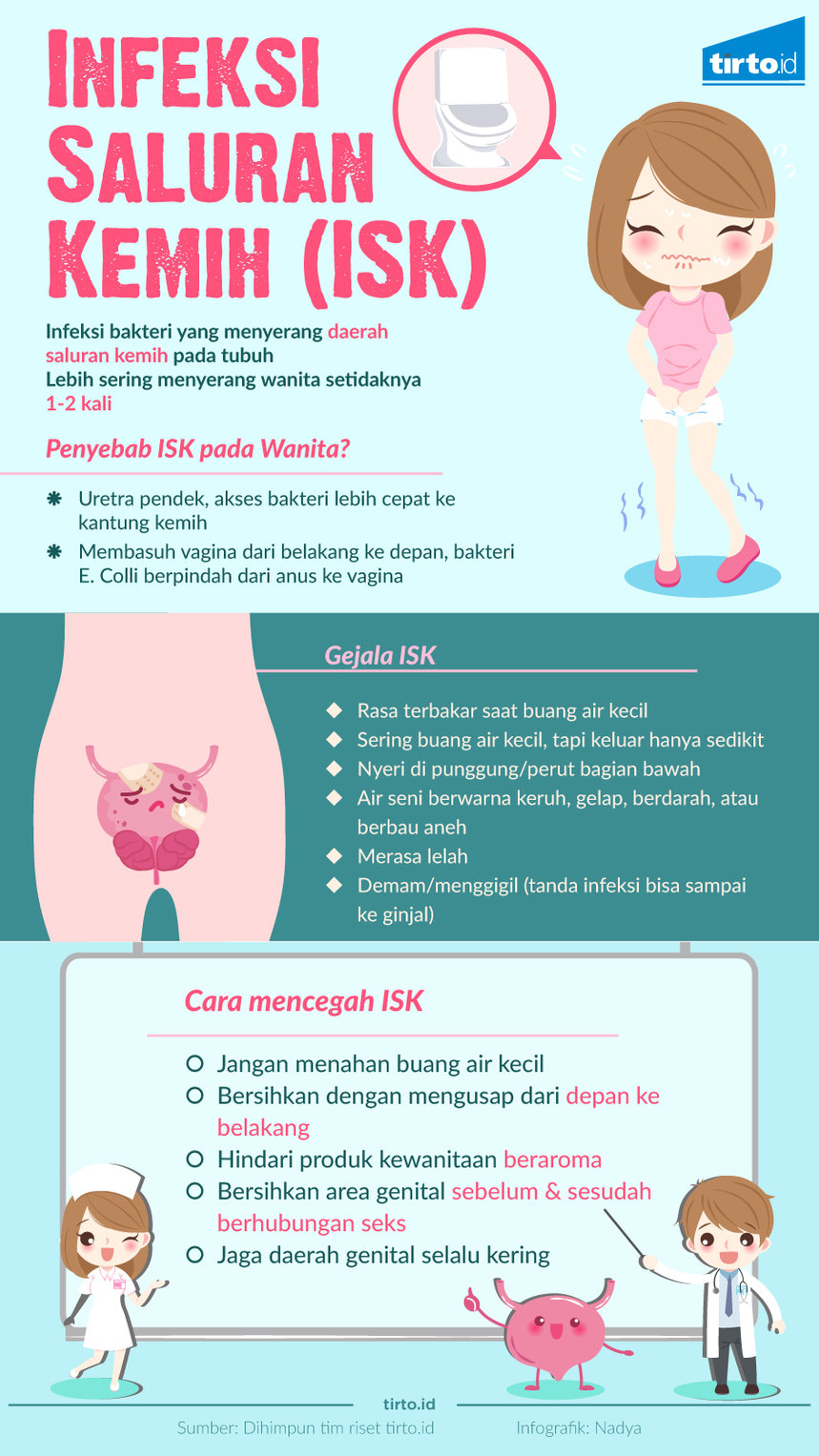 ISK Infeksi Saluran Kemih Promosi Kesehatan Kehidupan Sehat 