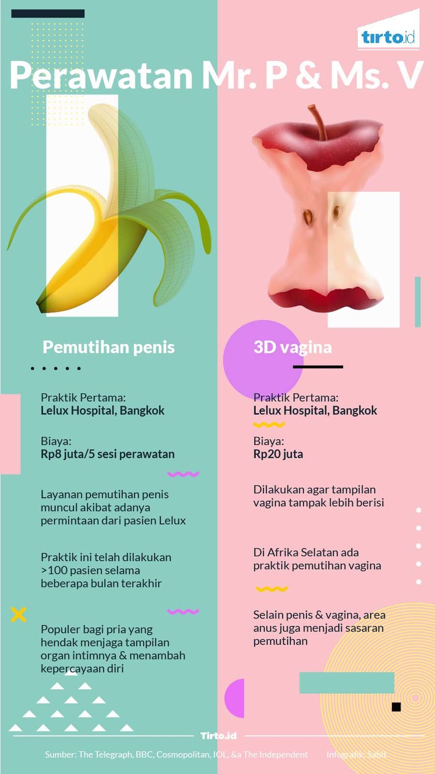 infografik perawatan penis vagina