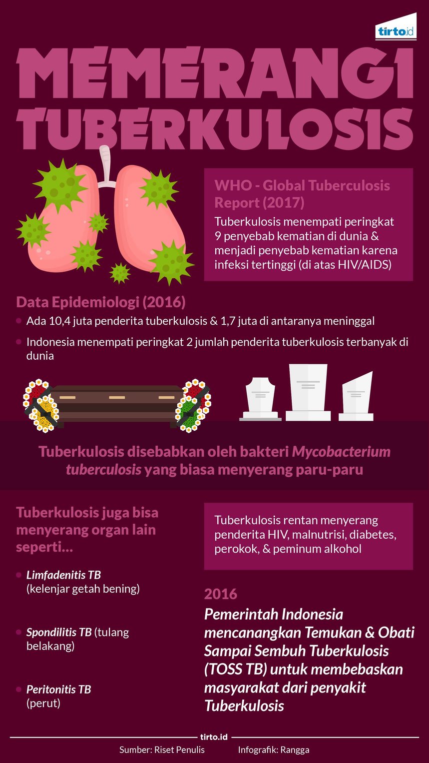 Infografik Memerangi Tuberkulosis