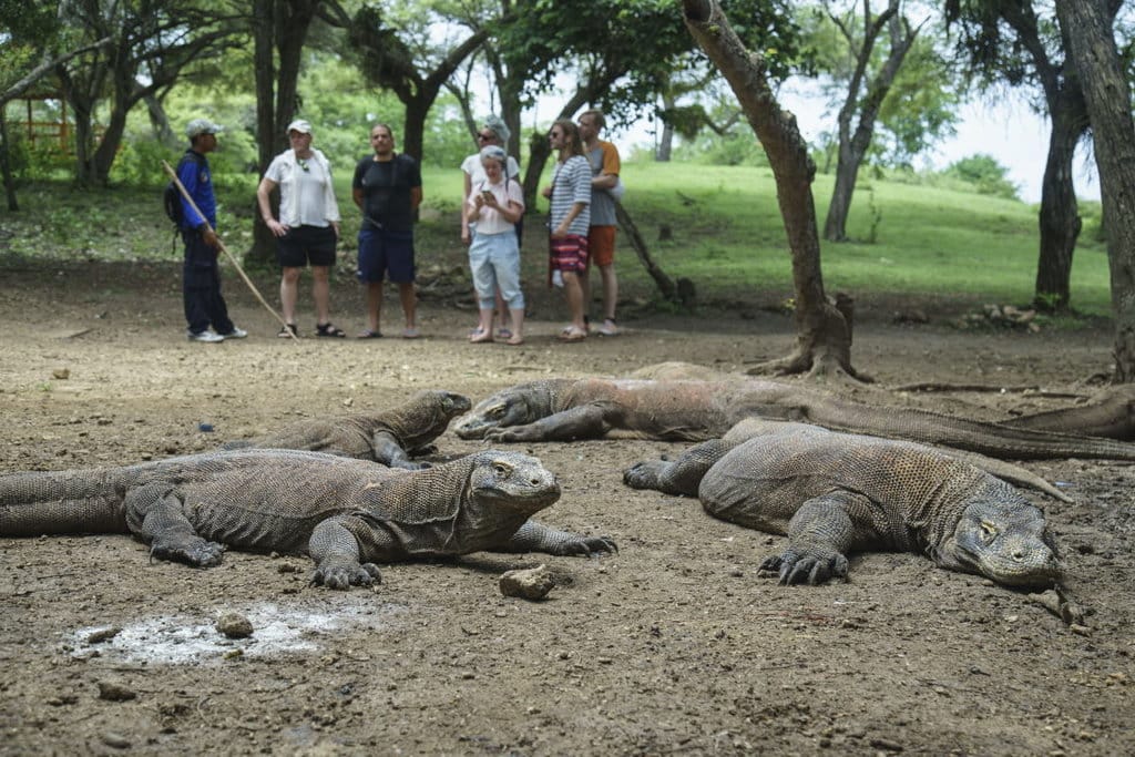 DPR Soroti Kajian Pembatasan Wisata Komodo 1.000 Orang per Hari