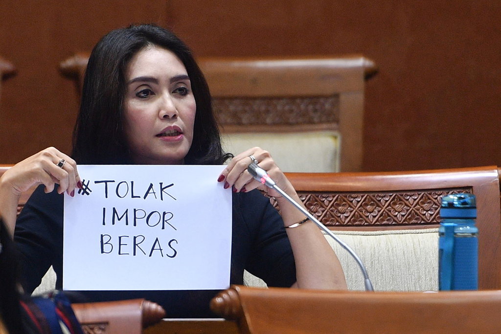 Soal Impor Beras: DPR Desak Penyelidikan Kinerja BULOG