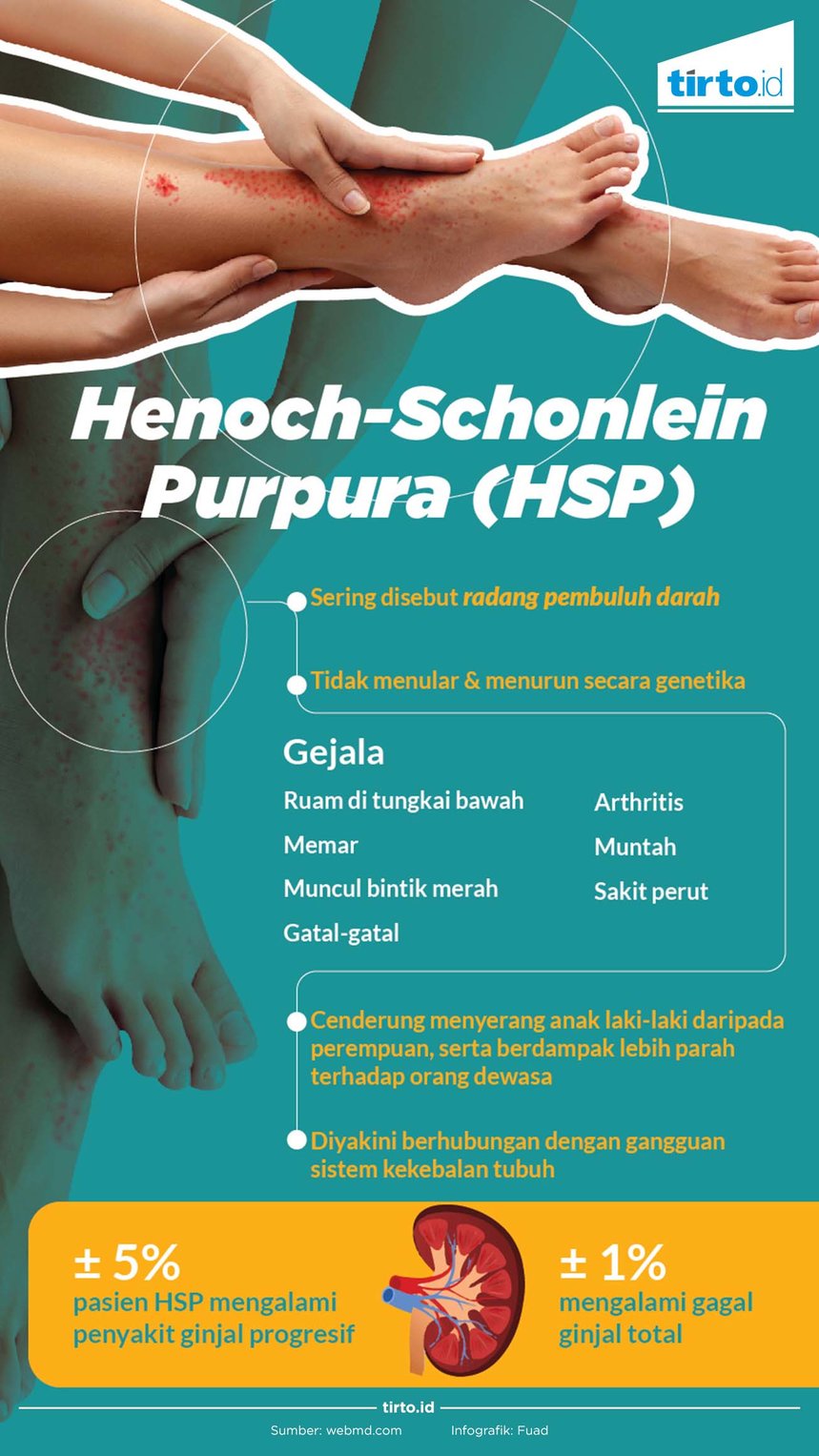 Infografik Henoch Schonlein Purpura