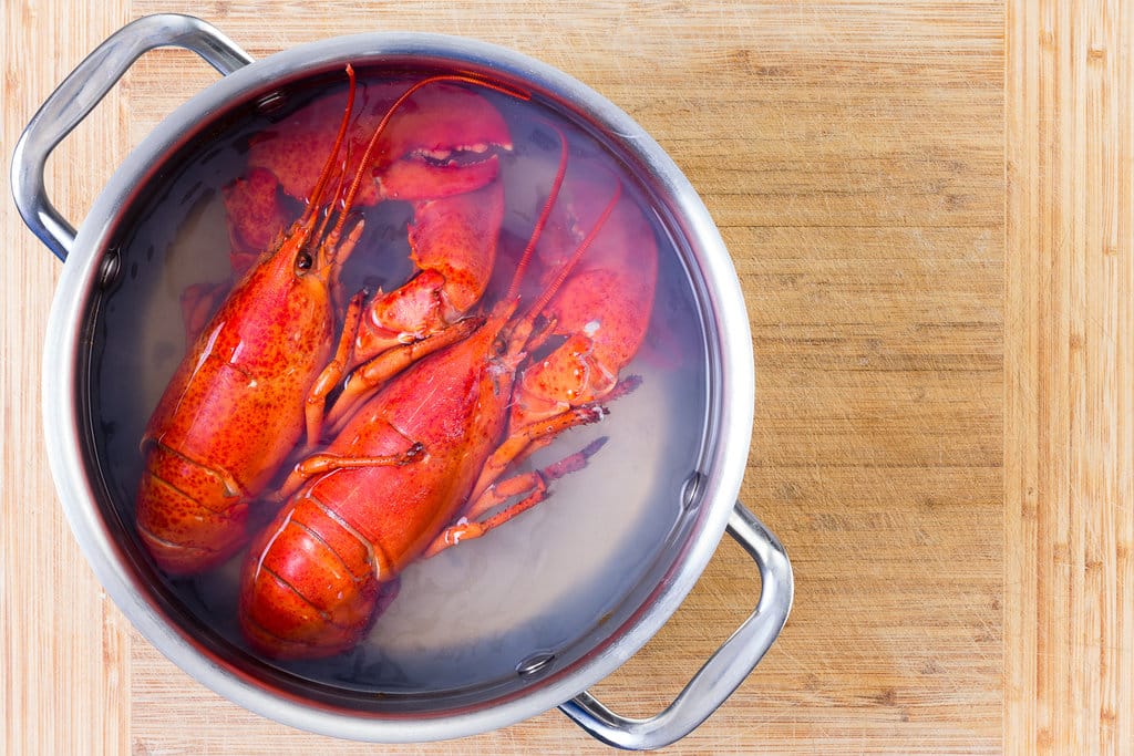 Merebus Lobster