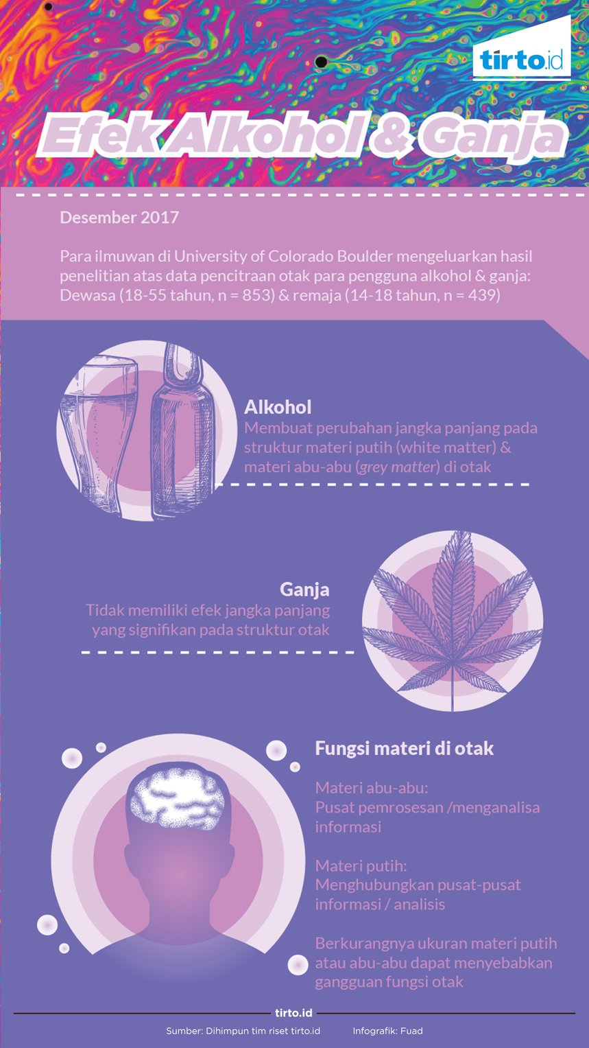 Infografik Efek Alkohol dan ganja