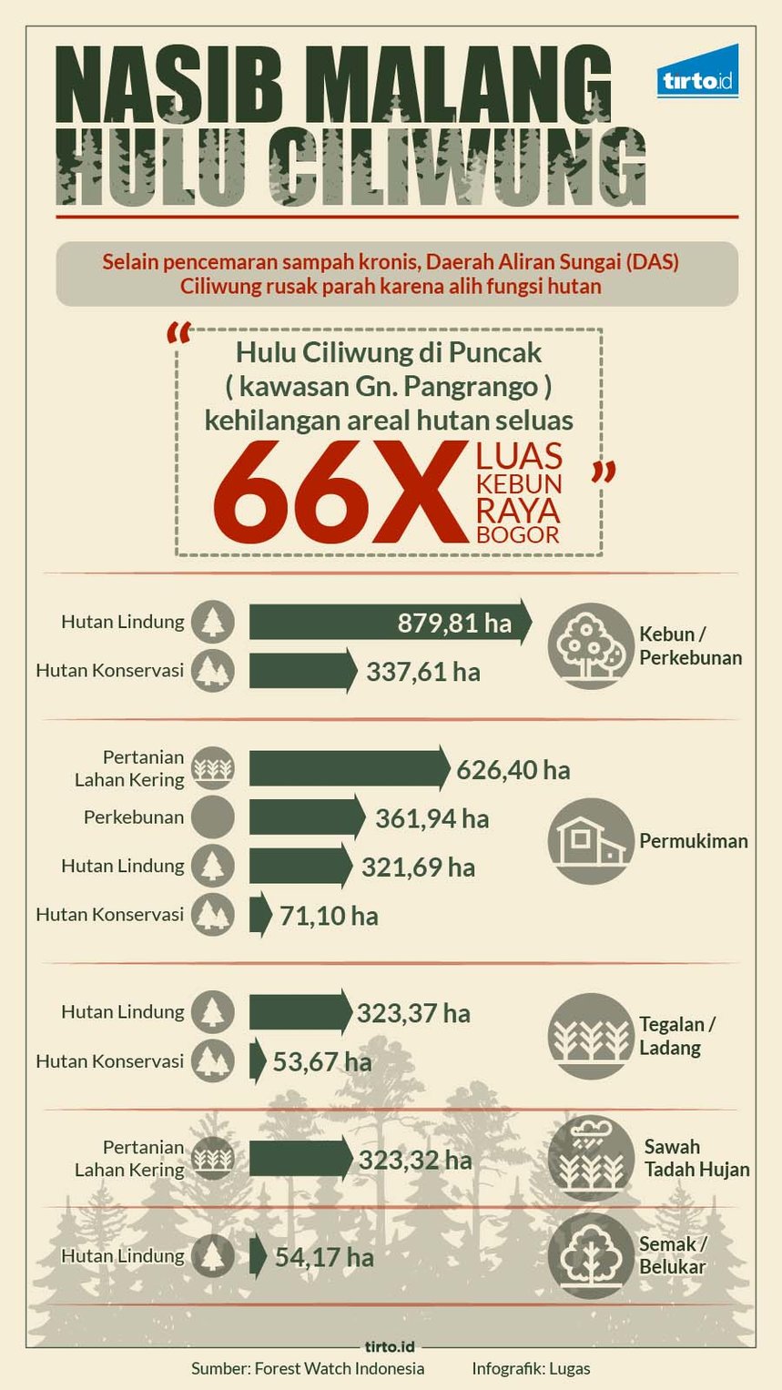 Infografik HL Indepth Puncak