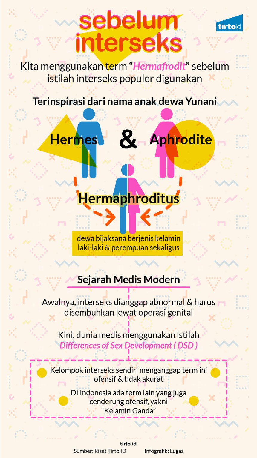 Infografik HL Indepth Interseks