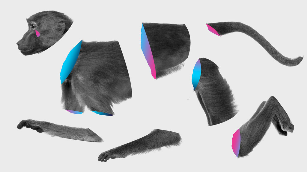 Hobi Menyantap Hewan Liar Bikin Satwa Punah Tirto Id