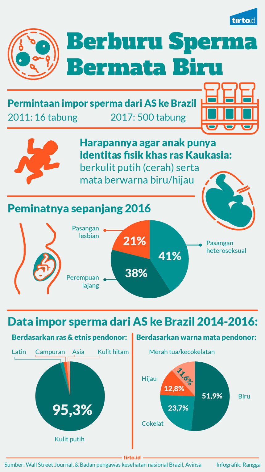 infografik berburu sperma bermata biru
