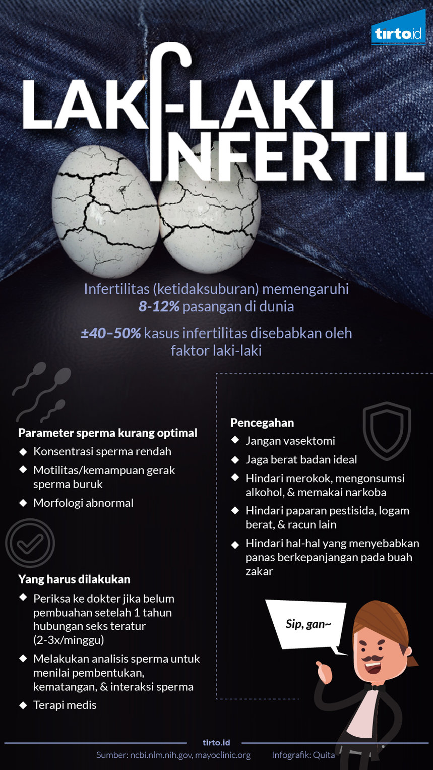 infografik infertilitas