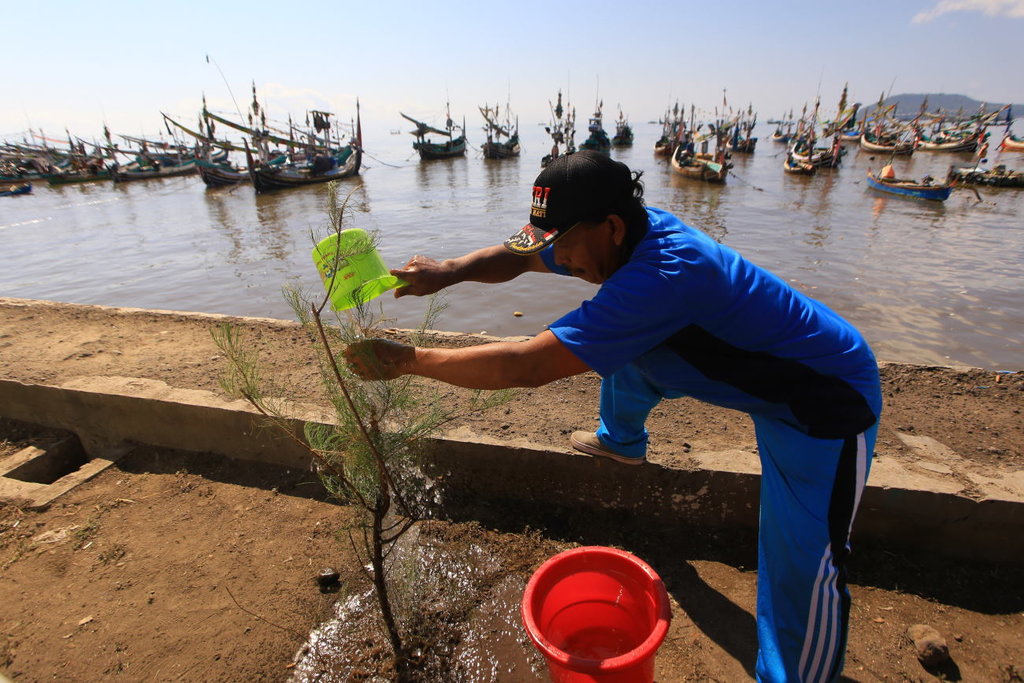 TANAM POHON PINGGIR LAUT