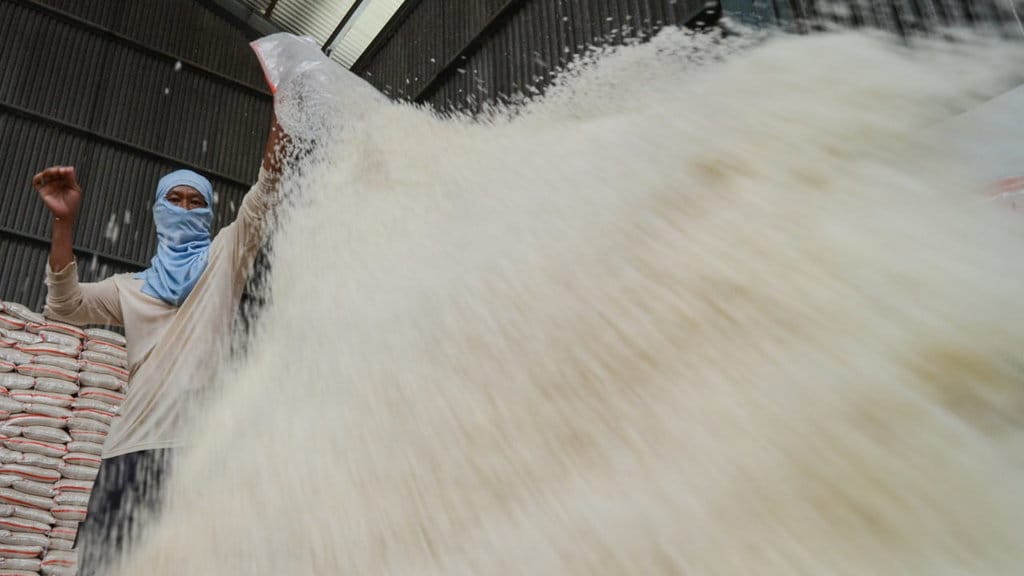 Kisah Gatot Surono Dan Rojolele Di Tengah Revolusi Hijau Orde Baru Tirto Id