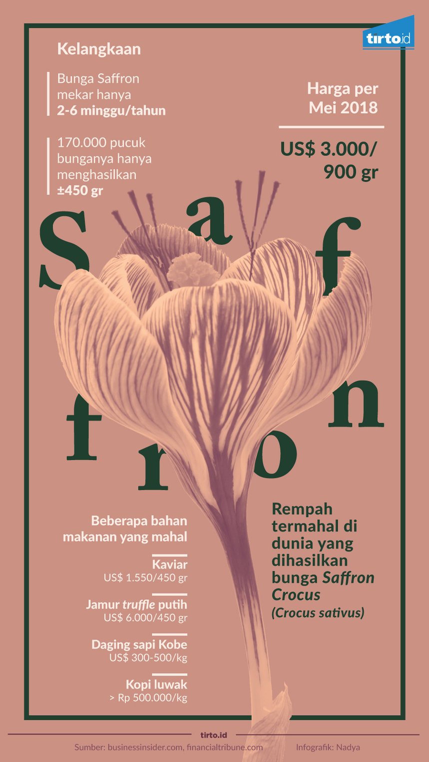 infografik saffron