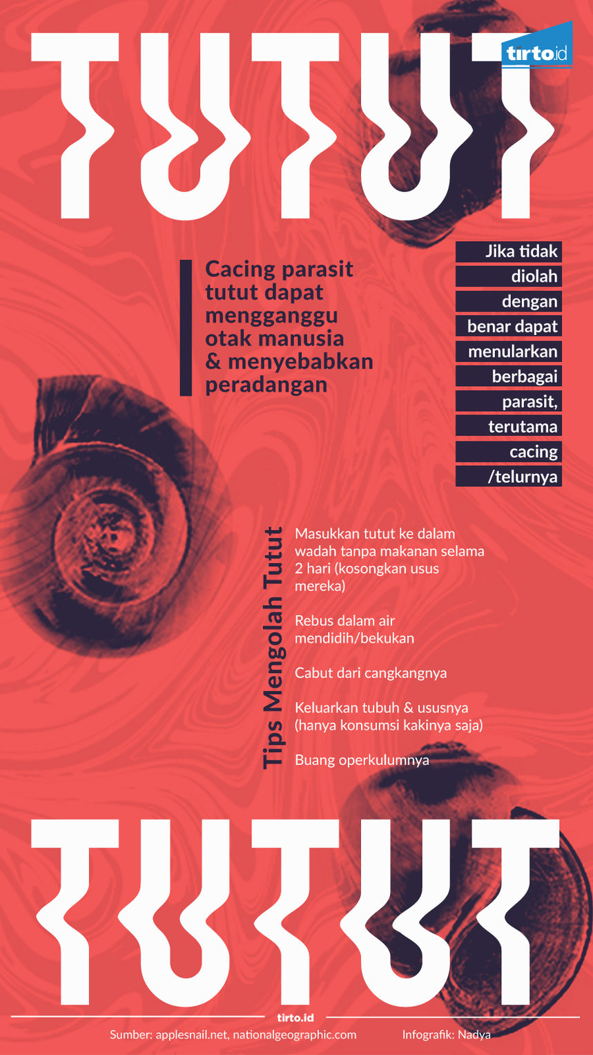 infografik makan tutut