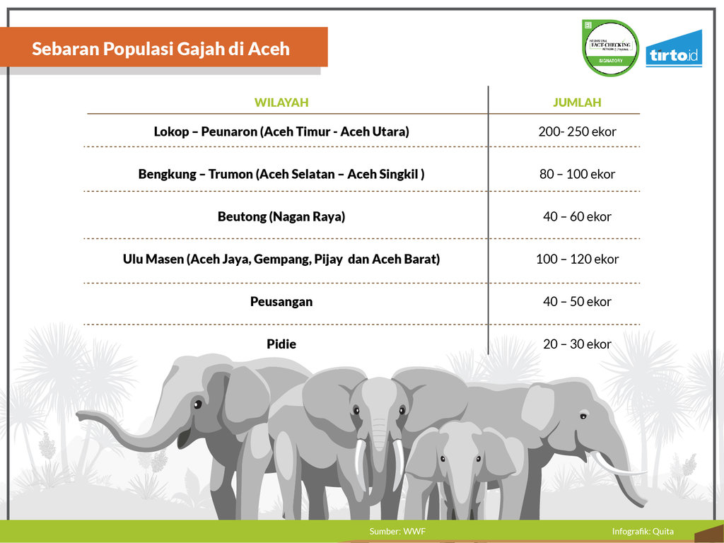 Infografik Periksa Data Deforestasi Ancaman Gajah