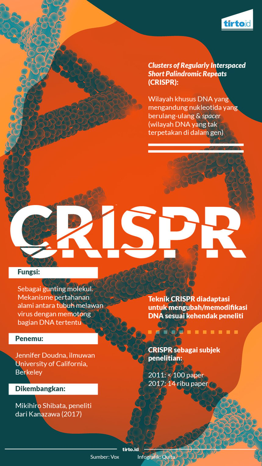 Infografik CRISPR