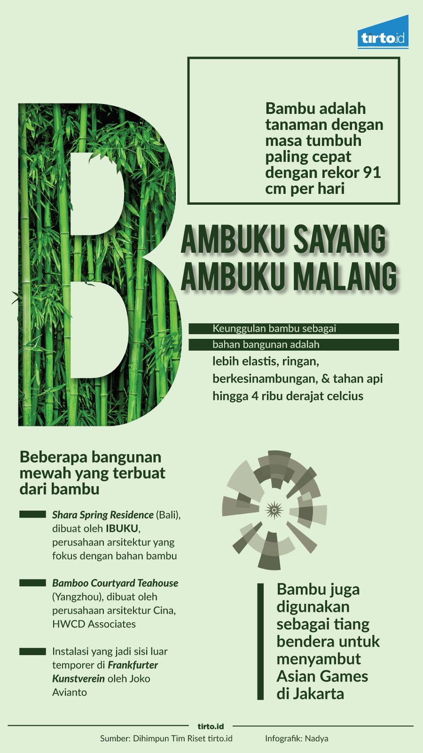 Infografik Bambuku Sayang Bambuku Malang