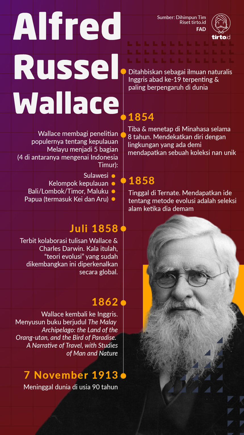 Infografik Alfred Russel Wallace
