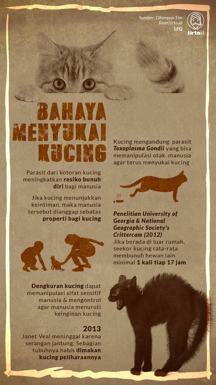 Infografik Bahaya Menyukai Kucing