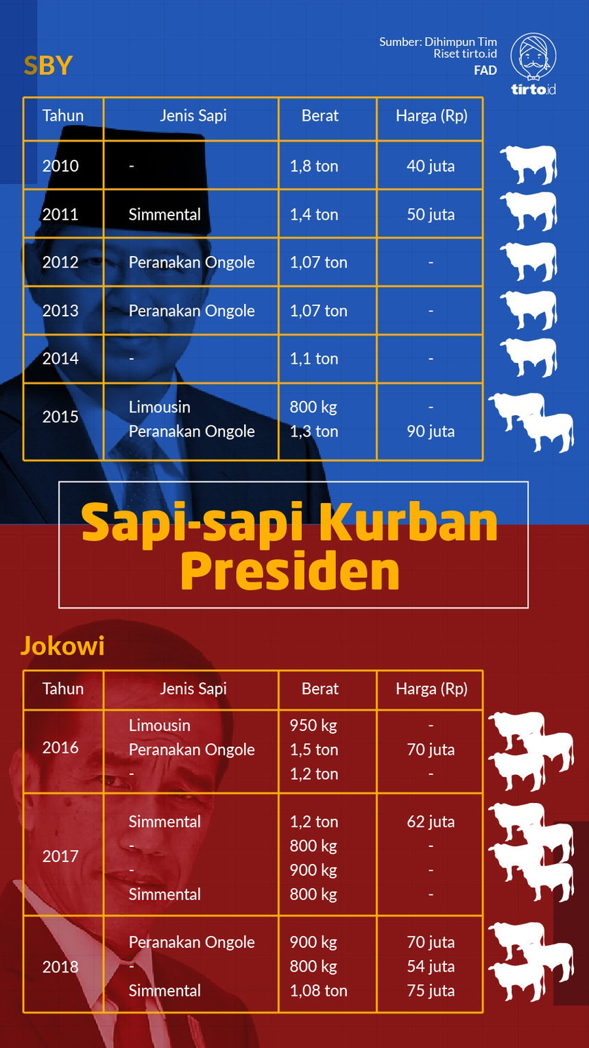 Infografik Sapi sapi kurban presiden