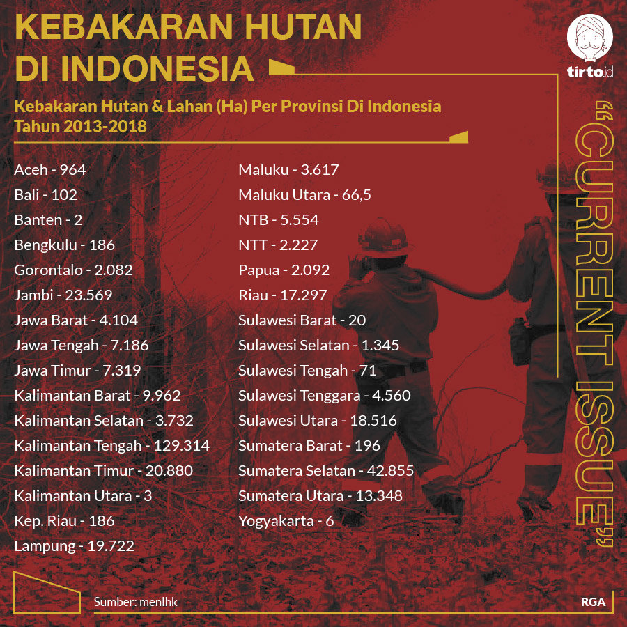 Infografik CI Kebakaran Hutan di Indonesia