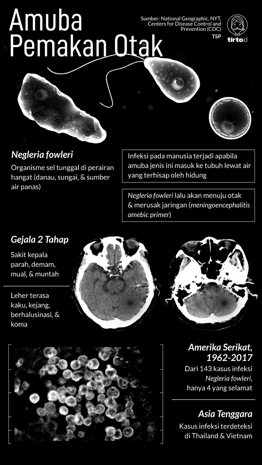 Infografik Amuba Pemakan Otak