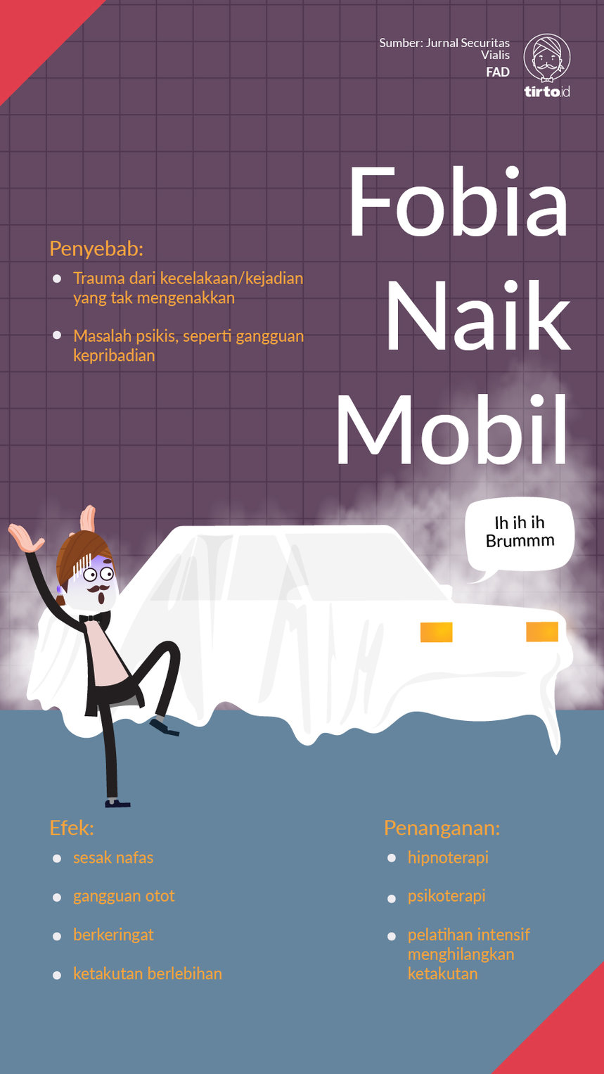 Infografik Fobia Naik Mobil