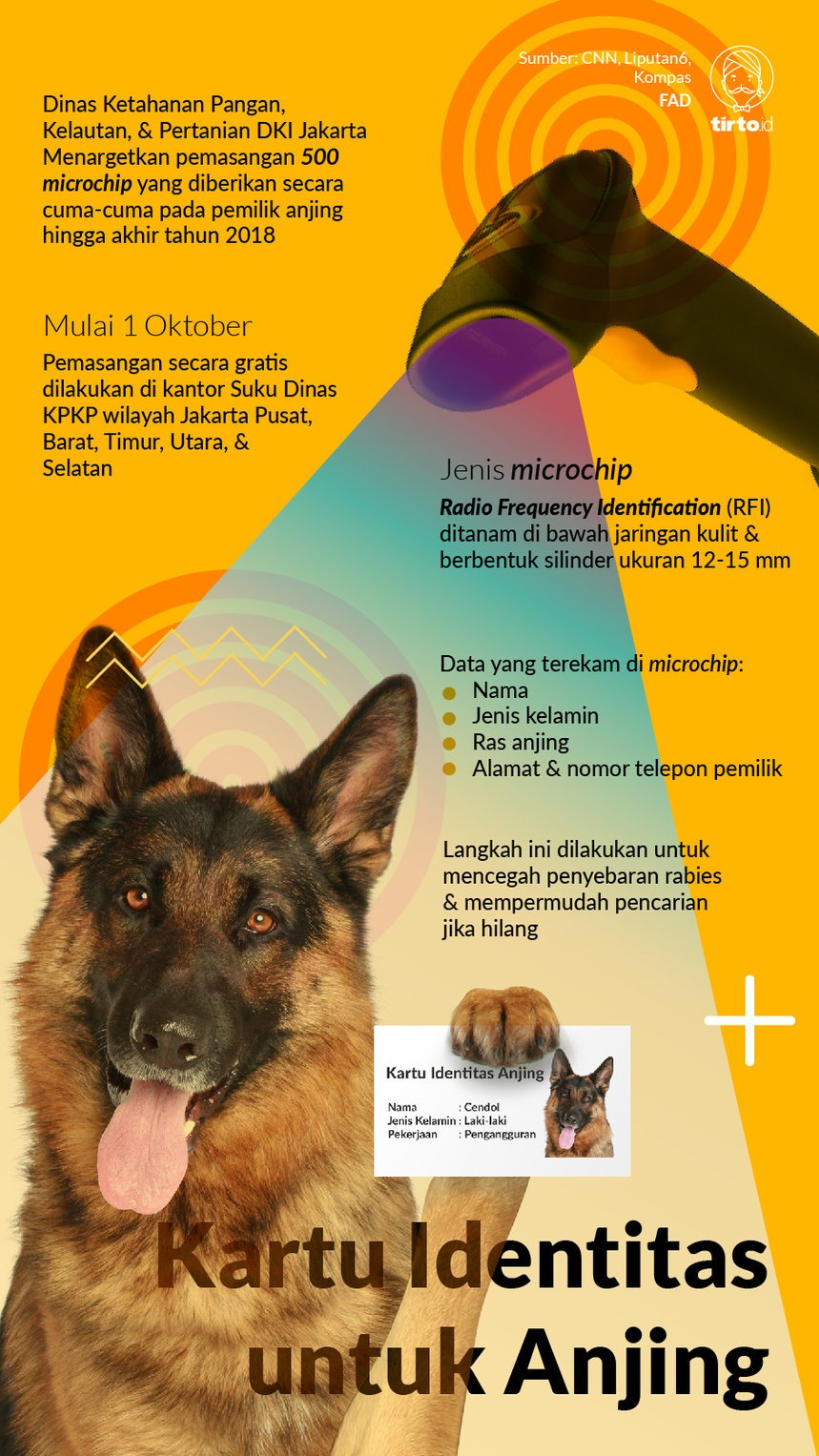 Infografik Kartu Identitas untuk anjing
