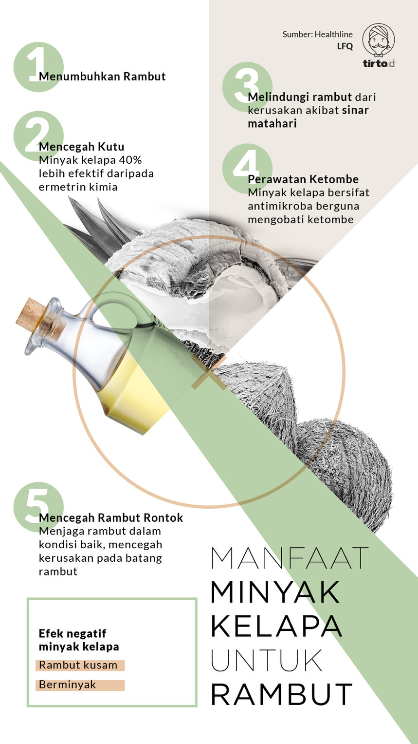 Infografik Manfaat Minyak Kelapa Untuk Rambut