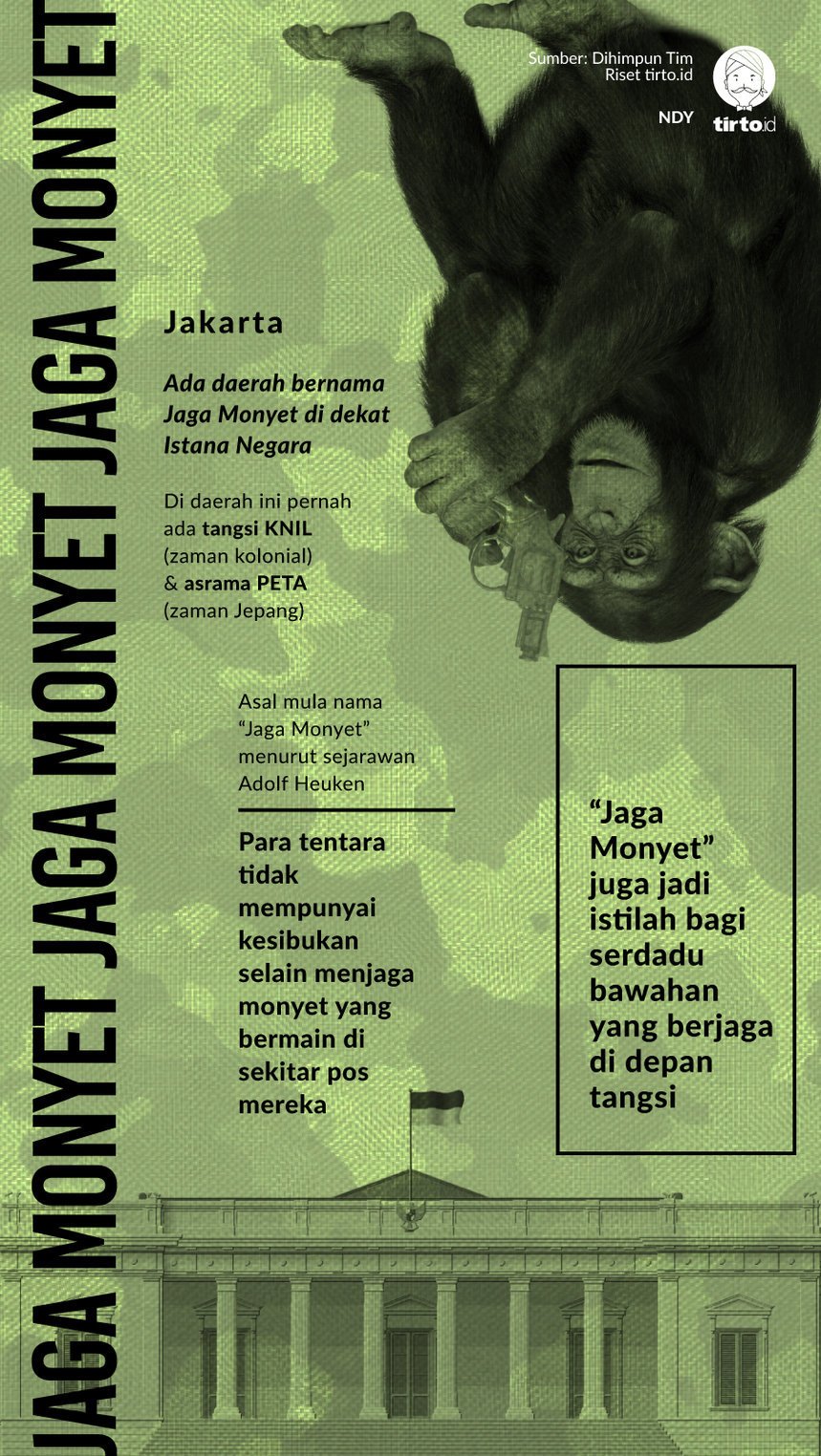 Infografik Jaga Monyet