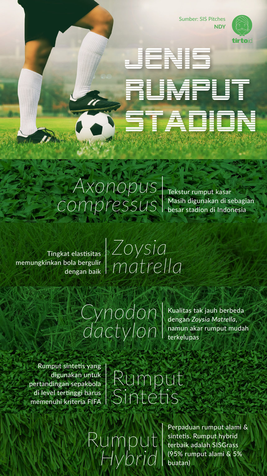 INfografik Jenis rumput stadion