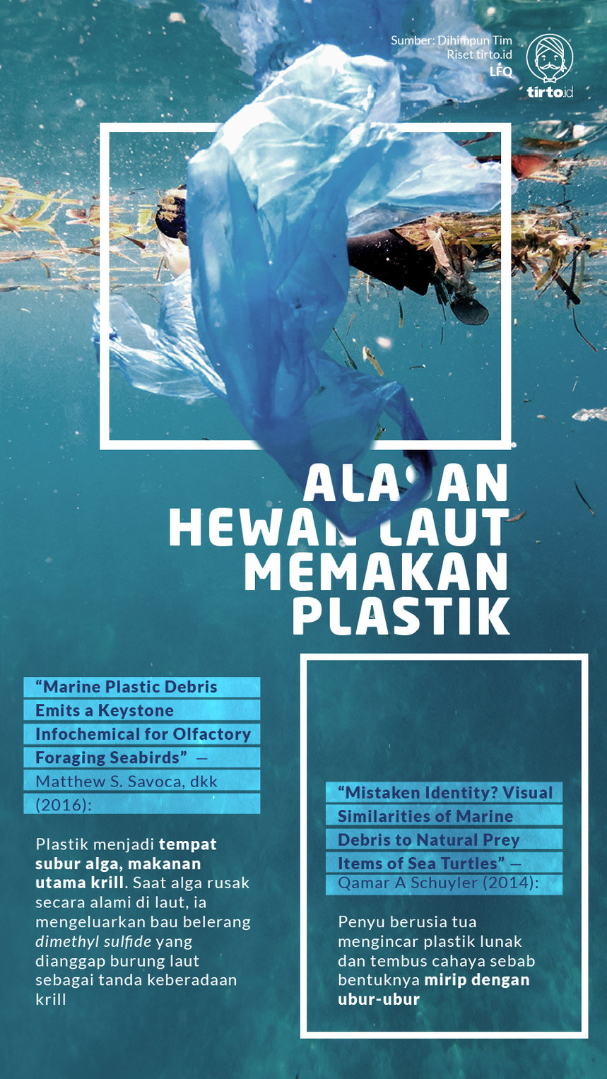 Infografik ALasan hewan laut memakan plastik