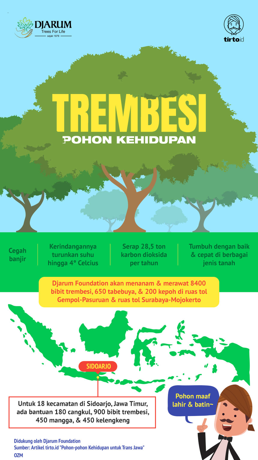 Infografik Advertorial Trambesi Pohon Kehidupan