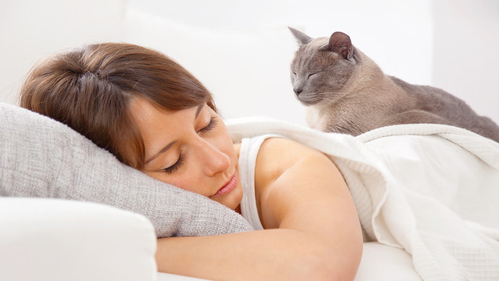 Ilustrasi perempuan tidur sama kucing