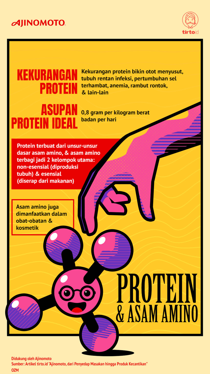 Infografik Avertorial Protein dan Asam Amino