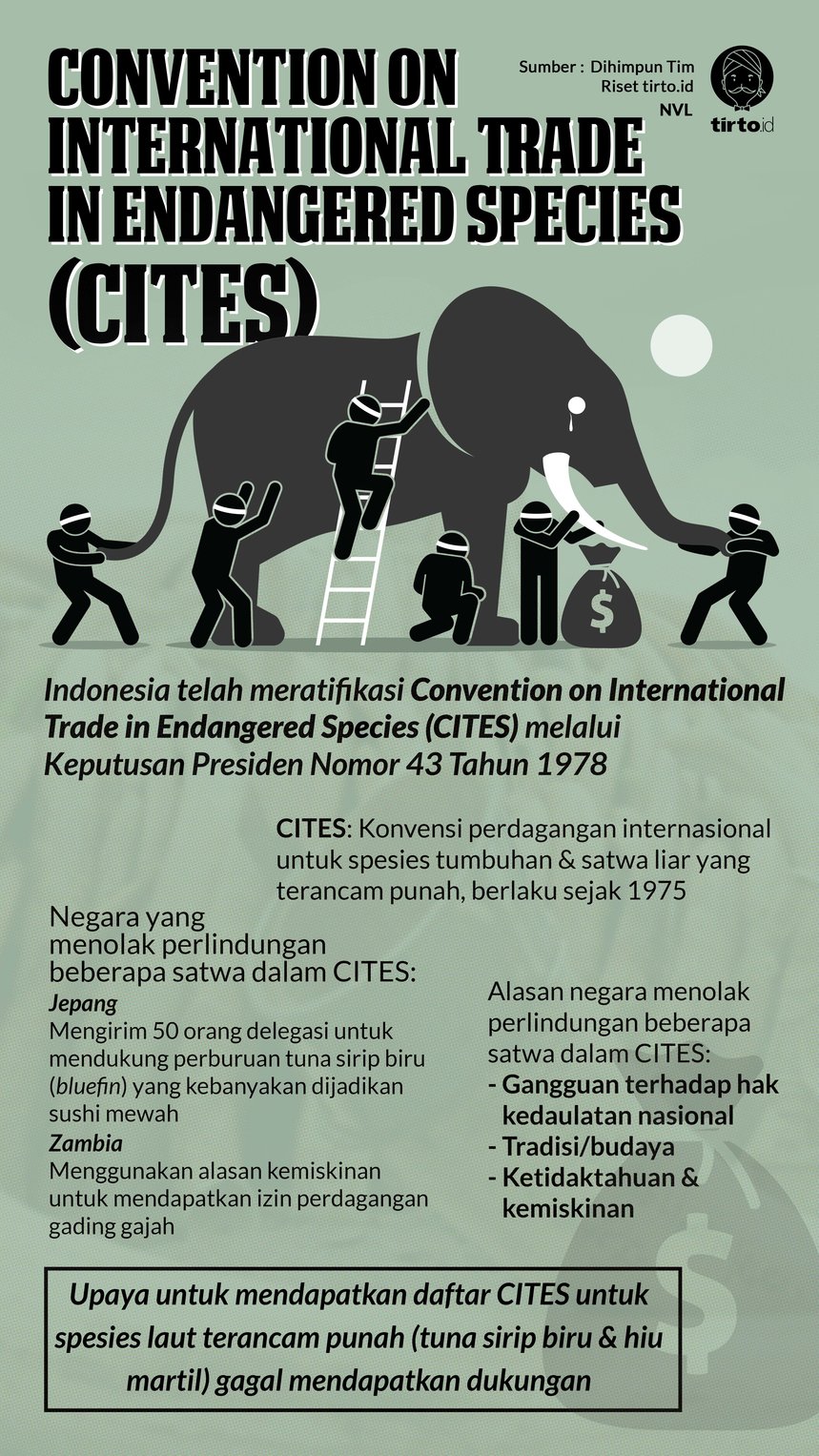 Infografik CITES