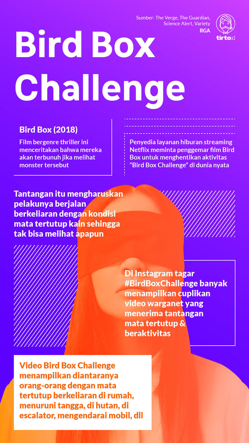 Infografik Bird Box Challenge
