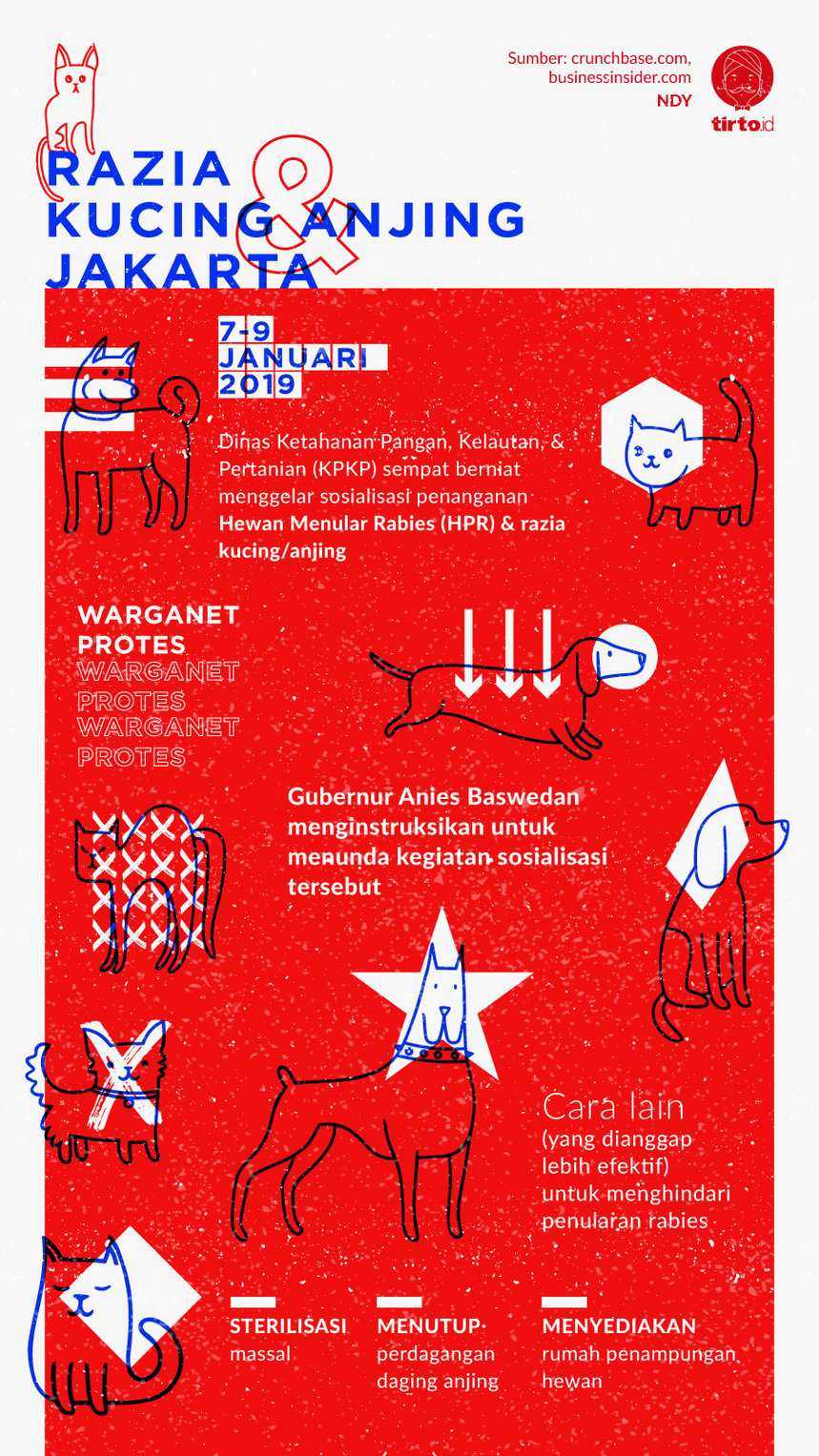 Infografik Razia Kucing Anjing Jakarta
