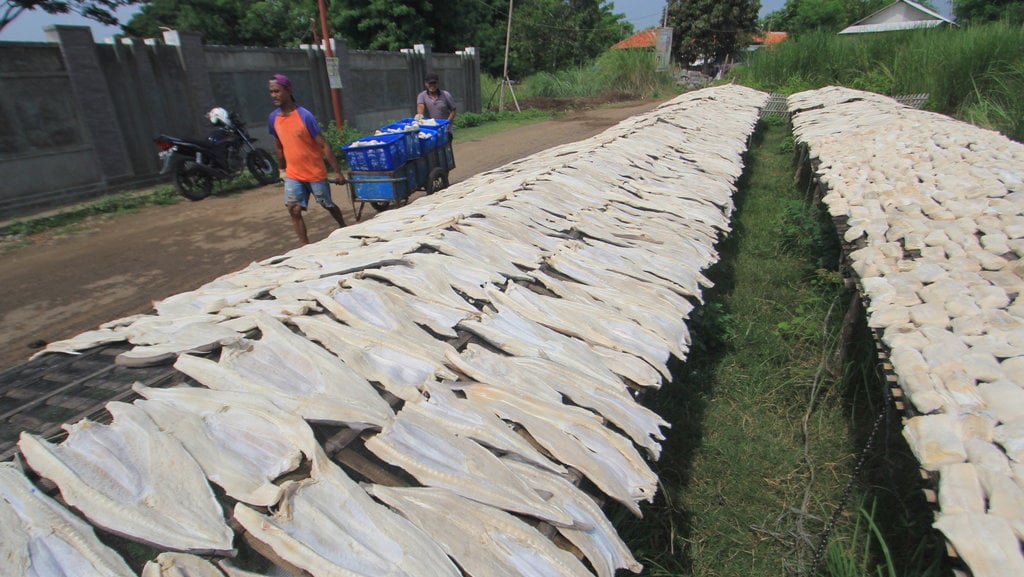 DAGING IKAN HIU KERING