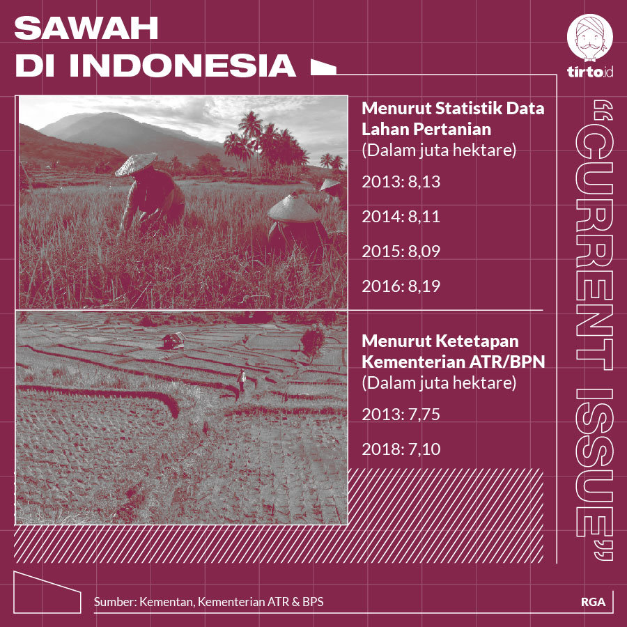 Infografik CI Sawah Di indonesia