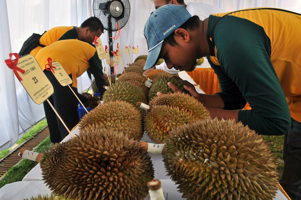 Apakah Mengonsumsi Durian Dan Kopi Bersamaan Berbahaya