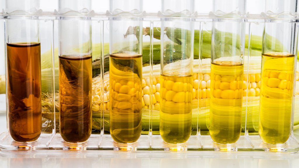 Ilustrasi Pengolahan Biodiesel