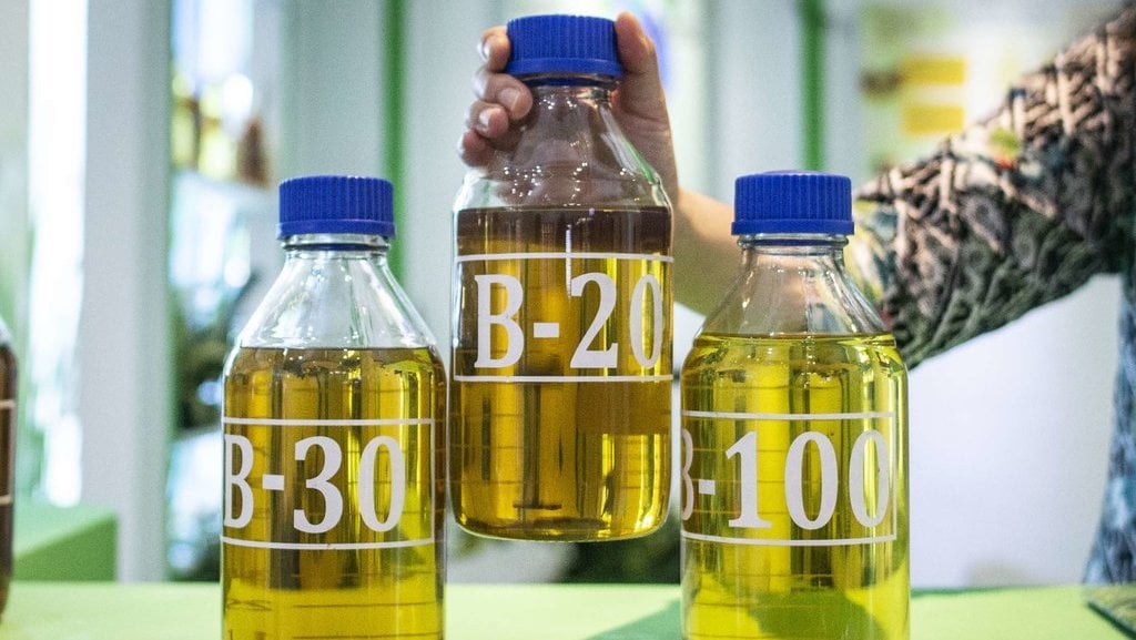 Biodiesel