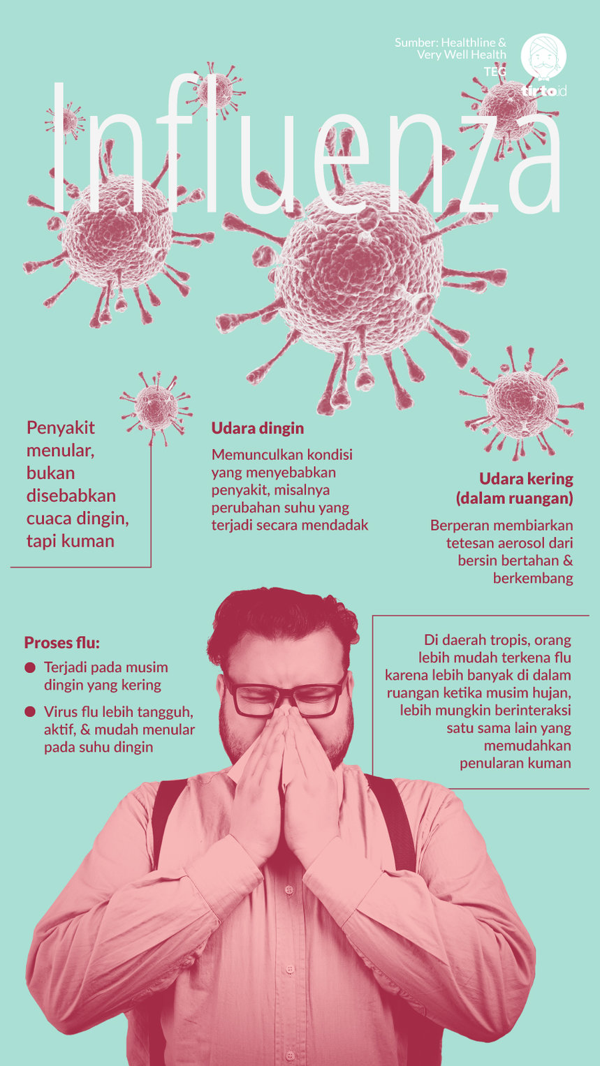 Infografik Influenza
