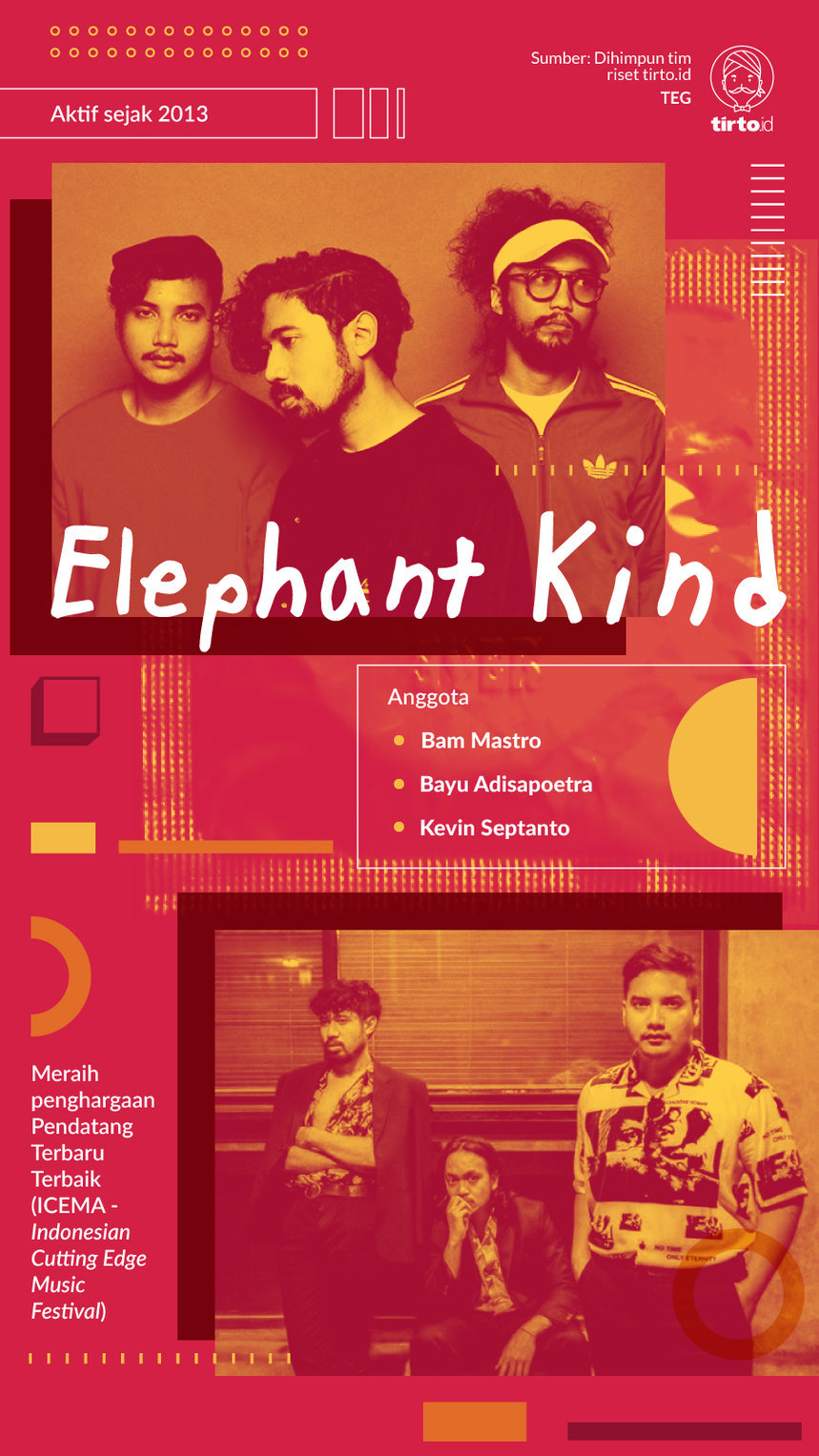 Infografik Elephant Kind
